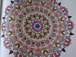 whatsapp bild 2025-04-02 um 11.01.41_8a1db444